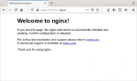 Sitio web con Nginx