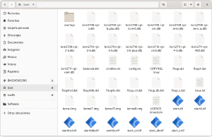 Raspberry Pi OS root