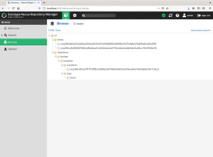 Imagen de Docker publicada en repositorio Nexus Imagen de Docker publicada en repositorio Nexus
