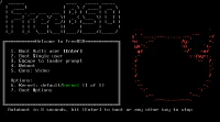 Inicio de la instalación de FreeBSD