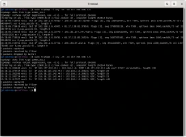 Comando tcpdump