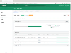 Dashboard de Nomad