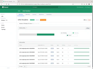 Dashboard de Nomad