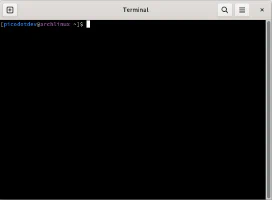 Terminal de bash personalizada