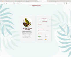 Frontend con datos de la versión v2 del backend Frontend con datos de la versión v2 del backend