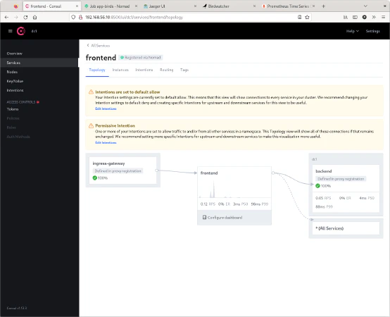 Toppología de un servicio y métricas en Consul