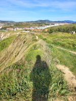 Pequeñas cosas sencillas Pequeñas cosas sencillas