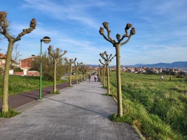 Pequeñas cosas sencillas Pequeñas cosas sencillas