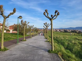 Pequeñas cosas sencillas